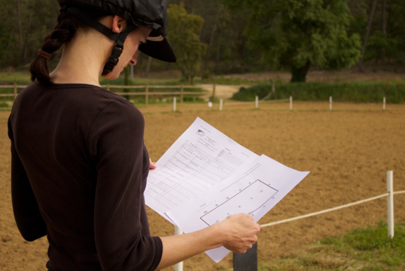 Travail d'une reprise de dressage au Haras de Mérindol